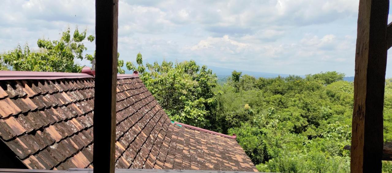 Omah Singo Stay & Resto Yogyakarta Bantul Bagian luar foto